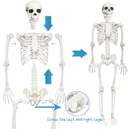 Life-Size Halloween Skeleton Decor with Posable Joints & Glowing Eyes - 5.9ft