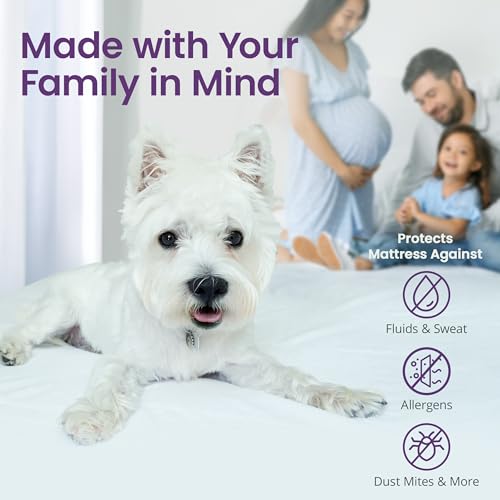 Queen Size Waterproof Mattress Protector with Plush Quilting