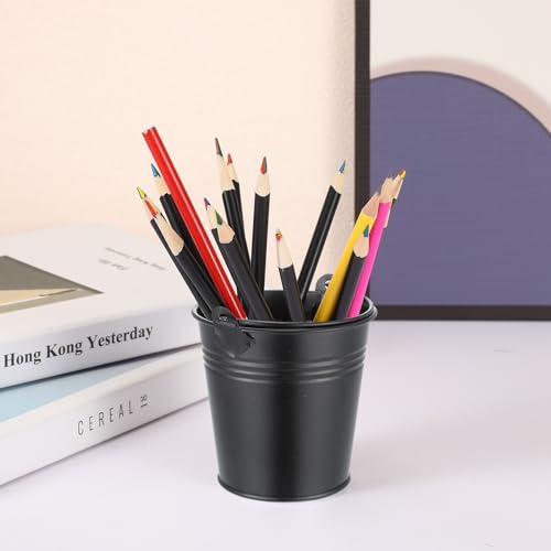 28 Pcs Mini Metal Buckets with Handles - Galvanized Black Party Favors