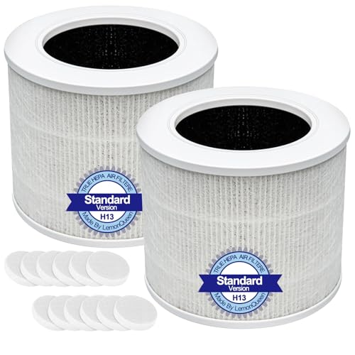 2 Pack Mini Replacement Air Filter with Activated Carbon H13 HEPA