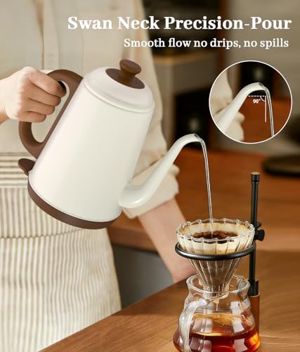 1L Gooseneck Electric Kettle, Stainless Steel Pour-Over Coffee Tea Pot