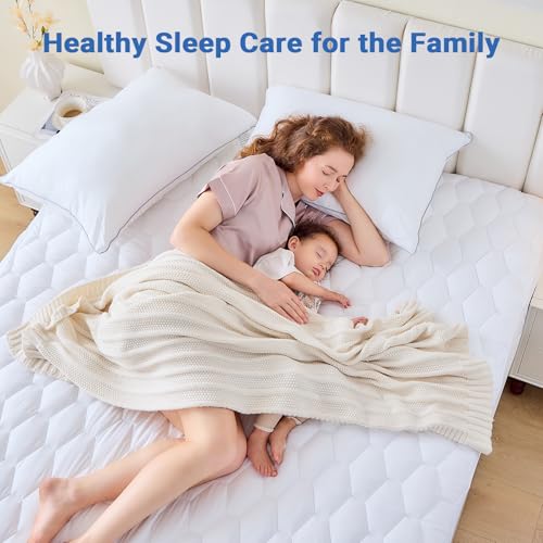 Queen Waterproof Mattress Protector - Soft Quilted Deep Pocket Cover