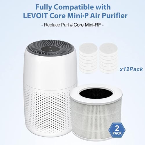 2 Pack Mini Replacement Air Filter with Activated Carbon H13 HEPA
