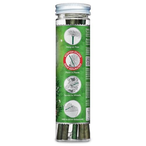 White Winter Fir Scented Christmas Tree Ornaments - 2 Pack (12 Sticks)