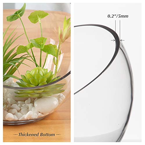 Clear Slant Cut Glass Bowl Vase - 7-Inch Decorative Terrarium & Candy Dish