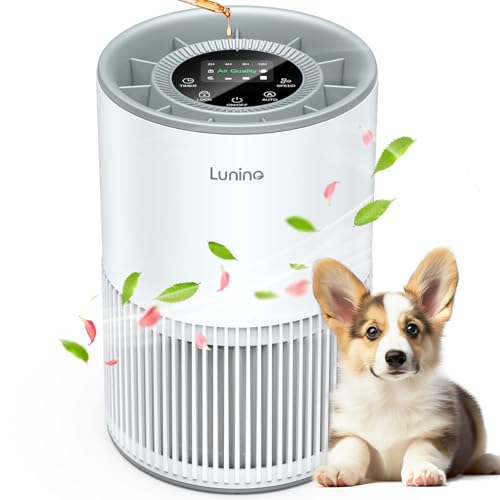 H13 True HEPA Air Purifier for Large Rooms with Fragrance and Sleep Mode