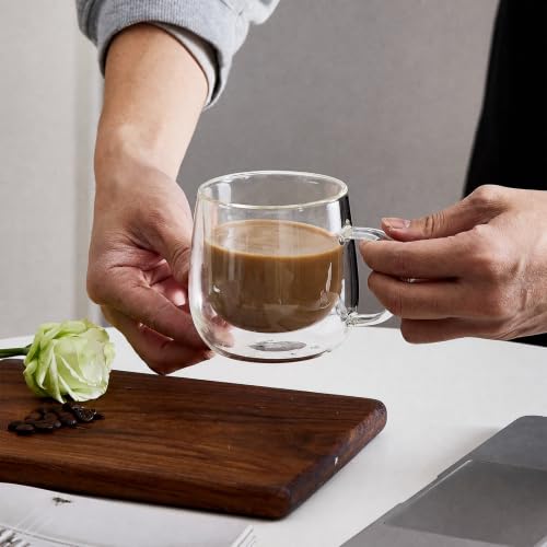 Set of 2 Double Wall Glass Coffee Mugs 10 oz with Handle - RDLBBS