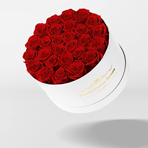 27 Preserved Red Roses in Round Gift Box - Real Eternal Flower Arrangement