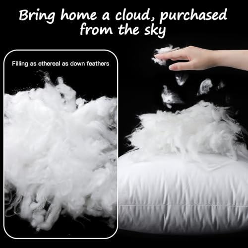 22x22 Synthetic Down Alternative Throw Pillow Inserts, 2-Pack Cotton Cover