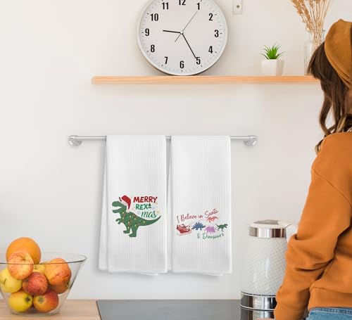 Christmas Dinosaur Kitchen Towels and Dishcloths Set of 2 - Merry Rexmas Santa T Rex Drying Cloths, 16x24 Inch, Home Decor Gift