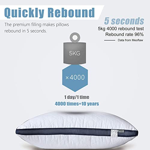 Meoflaw Luxury Hotel Queen Pillows (Set of 2) - Soft Microfiber Bed Pillows
