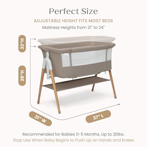 2-in-1 Bedside Sleeper Bassinet - Adjustable Height & Breathable Mesh