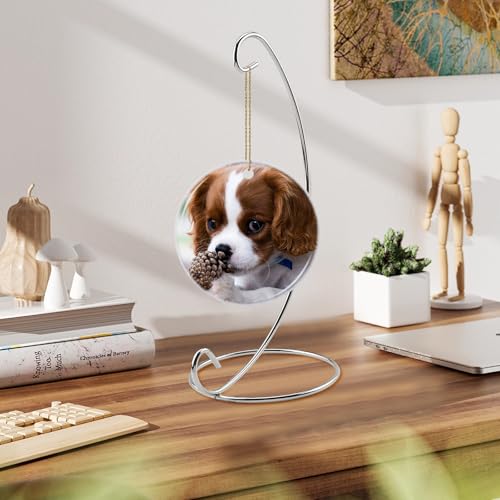 Abom 1S-8in Silver Single Ornament Display Stand, Air Plant Holder & Hanging Hook