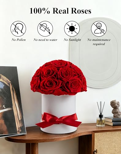 Hover Flower 18-Piece Red Dome Preserved Roses - Real 2-Year Lasting Bouquet in Gift Box
