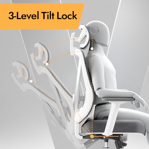 Ergonomic Mesh Office Chair with 3D Lumbar Support and Adjustable Armrests