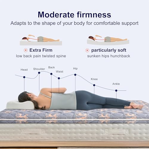 9-Layer Queen Mattress Topper - Foam Back Pain Relief & Comfort