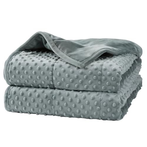 15lb Weighted Blanket Queen Size 60x80 Reversible Minky Dot & Microfiber