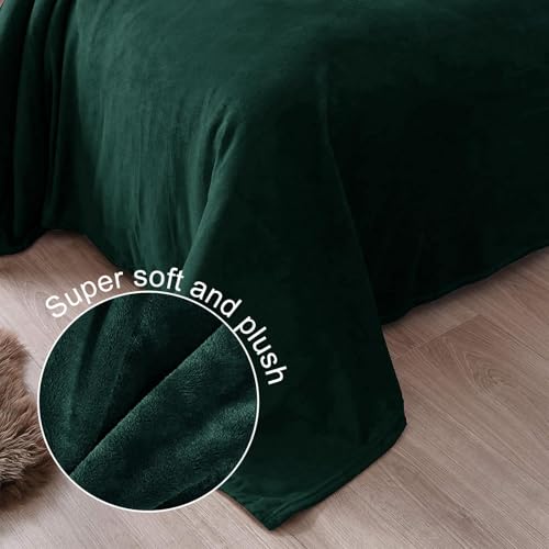 Exclusivo Mezcla Soft Fleece Throw Blanket for Couch - 50x70 Plush Flannel