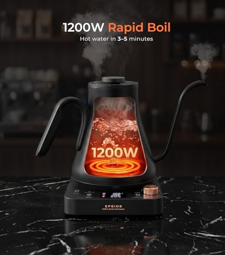 Electric Gooseneck Kettle with Precise Temperature Control, 0.9L Stainless Steel