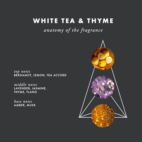 Essential Oil Plug-in Diffuser Refill, White Tea & Thyme, 300 Hours