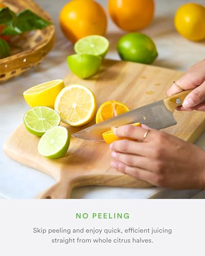 Citrus Juicer Attachment with Stainless Steel Strainer and 2 Reamers