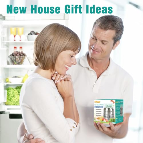 Reusable Stainless Steel Refrigerator Deodorizer & Odor Eliminator
