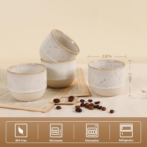 ZEBERBO Speckled Off-White Ceramic Espresso Cups Set of 4, 2.54 oz Double Walled Demitasse Mugs for Nespresso & Espresso Machines