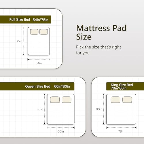 Queen Size Heated Mattress Pad with Dual Control and 10 Heat Settings