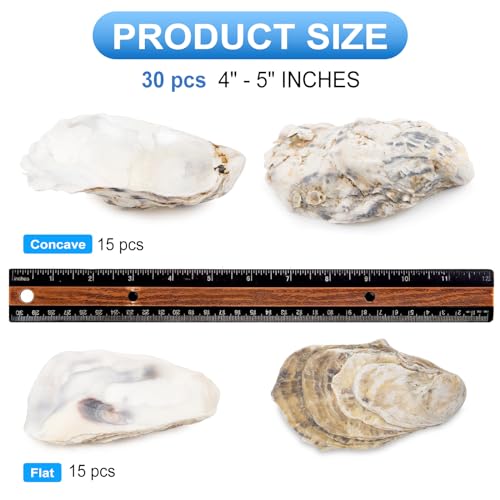 Natural Oyster Shells for Crafts - 30 Pack Large 4"-5" Bulk Seashells