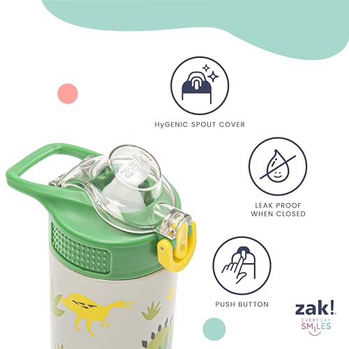 Kids Insulated Stainless Steel Water Bottle with Straw - 19oz Leak-Proof