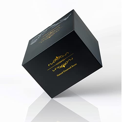 27-Piece Preserved Red Roses in Gift Box - Real Everlasting Flowers