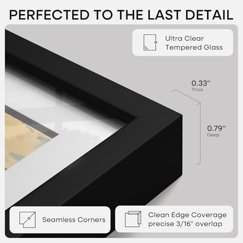 Homeforia Black Metal Picture Frame 12x16 with 9x12 Mat and Tempered Glass