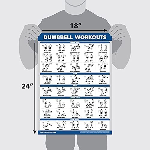 Palace Learning Dumbbell Workout Poster - Free Weight Bodybuilding Guide | Laminated Home Gym Chart - 18" x 24"