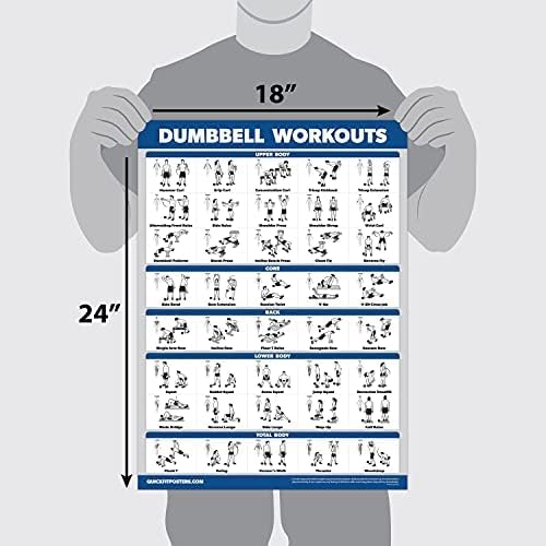 Palace Learning Dumbbell Workout Exercise Poster - 18" x 24" Laminated Home Gym Chart