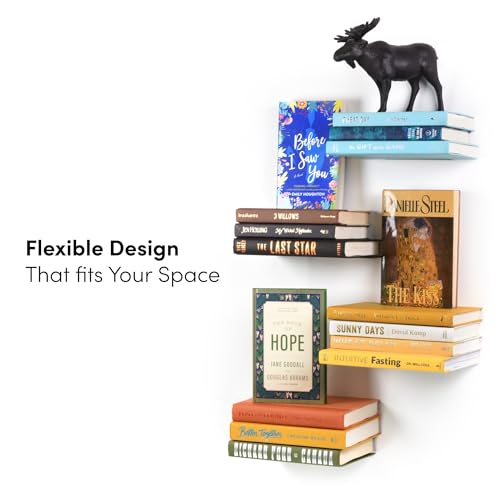 Floating Invisible Bookshelf Set, Wall Mounted Aluminum Shelves (4 Pack)