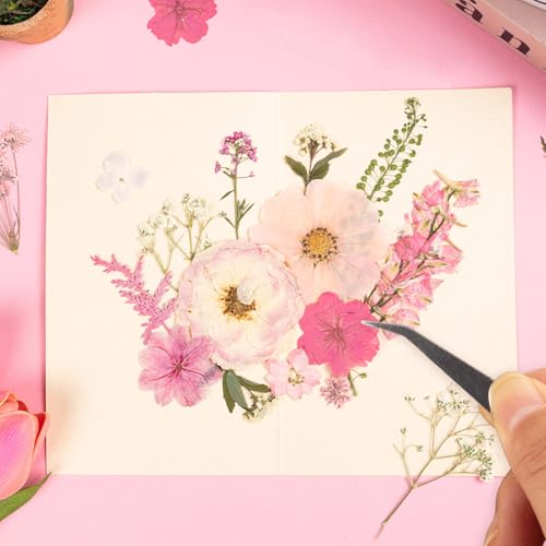 50 Pcs Pink Pressed Dried Flowers & Leaves with Tweezers for Resin Crafts & DIY