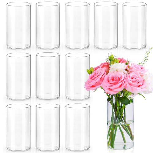 Clear Glass Cylinder Vases 6 Inch - Set of 12 Flower & Candle Holders