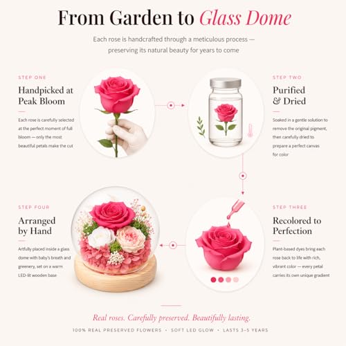 FIACO Pink Preserved Rose Gift in Glass Dome with LED Light - Long-Lasting Flower Decoration for Women, Mom, Wife, Valentine's Day, Christmas