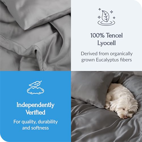 Eucalyptus Duvet Cover - Soft TENCEL Lyocell, Full/Queen Size, Silver Infused for Odor Control