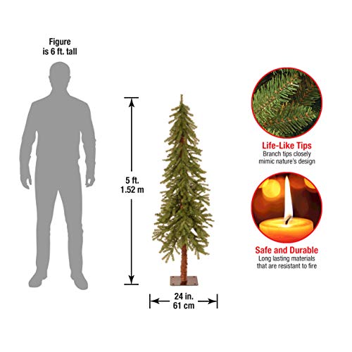 5ft Unlit Hickory Cedar Artificial Christmas Tree with Metal Base (371 Tips)