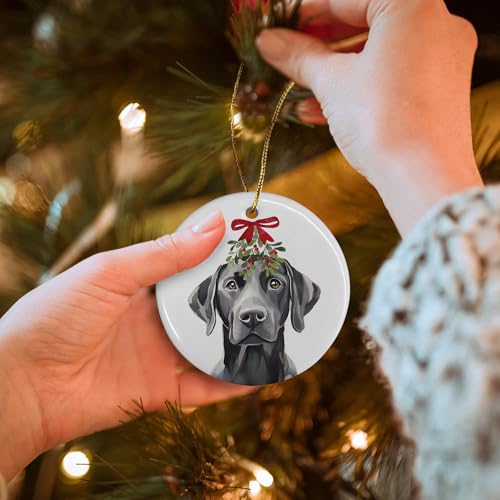DIENADFX Labrador Mistletoe Ceramic Christmas Ornament – Black Labrador Gift, Double-Sided 3"