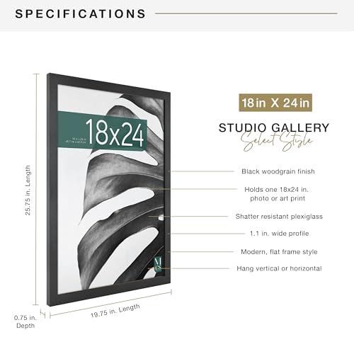 MCS Studio Gallery 18x24 Picture Frame Black Woodgrain Poster Frame