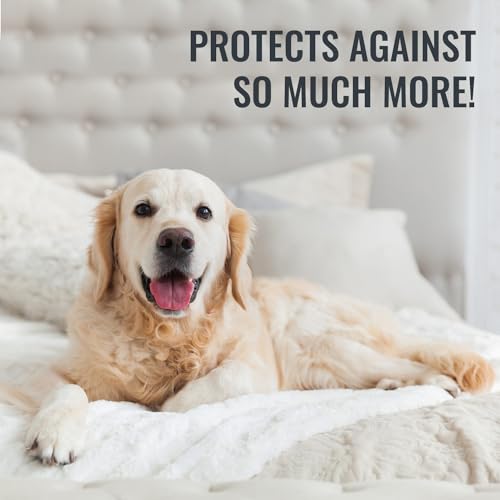 Waterproof Mattress Protector & Pad for Queen Beds