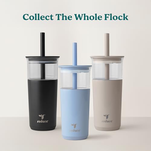 20oz Vacuum Insulated Glass Tumbler with Extra Wide Straw and Lid