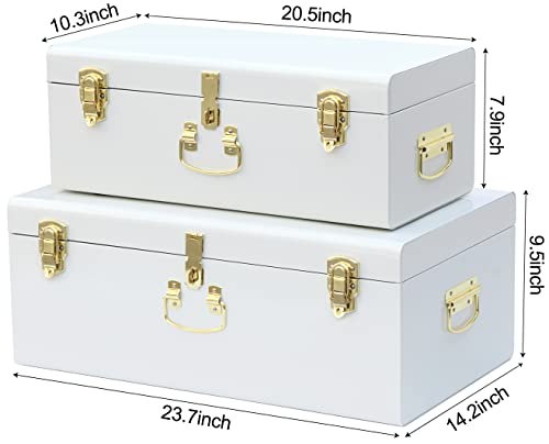Decorative Metal Storage Trunk Set of 2 with Locking Clasps