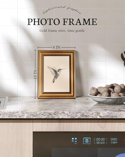 VIYYIEA Vintage Gold Framed Hummingbird Wall Art Sketch 8x10 Inch