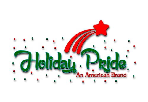 Holiday Pride Clear Mini String Lights 35 Count 12.5 Ft White Wire Indoor Outdoor
