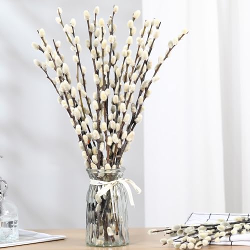 15 Stems Preserved Pussy Willow Branches, 17-Inch Natural Dried Flowers