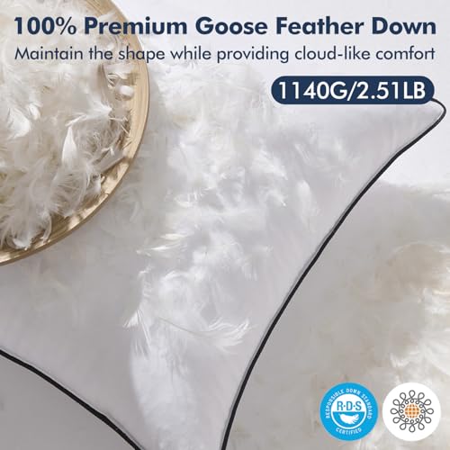 20x20 Goose Feather Down Pillow Inserts - Set of 2, Soft Cotton Cover