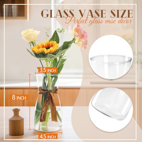 Clear Glass Flower Vase 8 Inch - Modern Minimalist Table Centerpiece